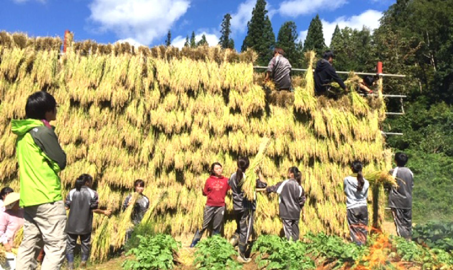 新潟県入広瀬村